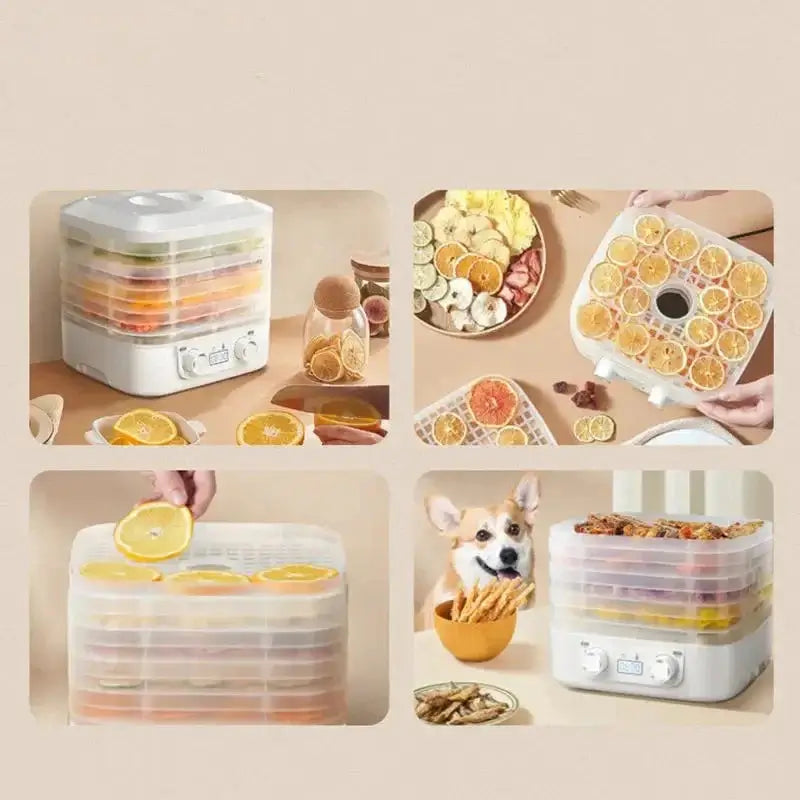 ThermoSafe Food dehydrator for drying fruits, vegetables, and snacks efficiently, showcasing colorful dehydrated foods.